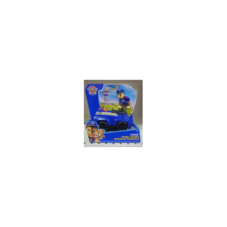 PAW CHASE CON VEICOLO POLIZIA