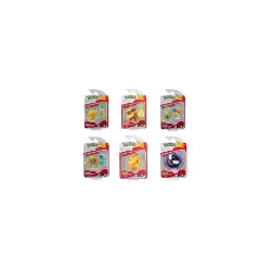 POKEMON BATTLE FIGURE ASS