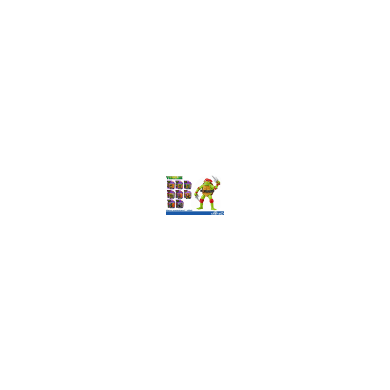 TARTARUGHE PERSONAGGI ASS