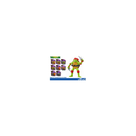 TARTARUGHE PERSONAGGI ASS