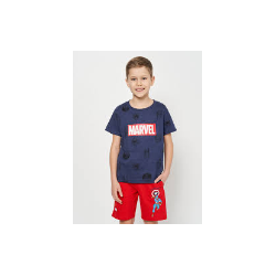 AVENGERS T-SHIRT TG 4-6-8-10 ANNI ASS